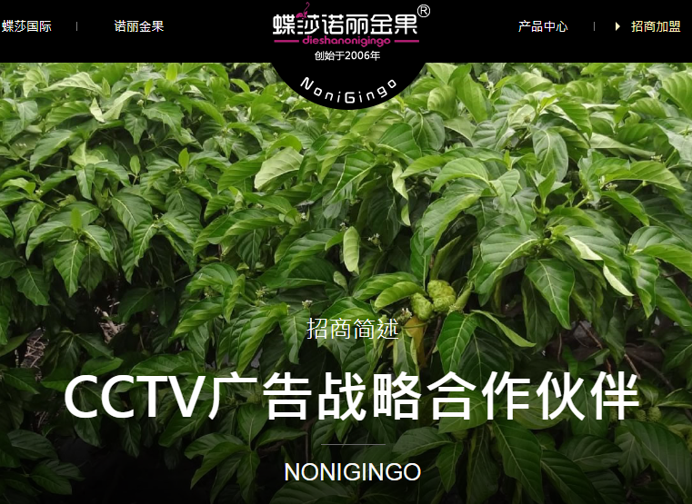 蝶莎诺丽金果NoniGingo官方招商代理加盟简述